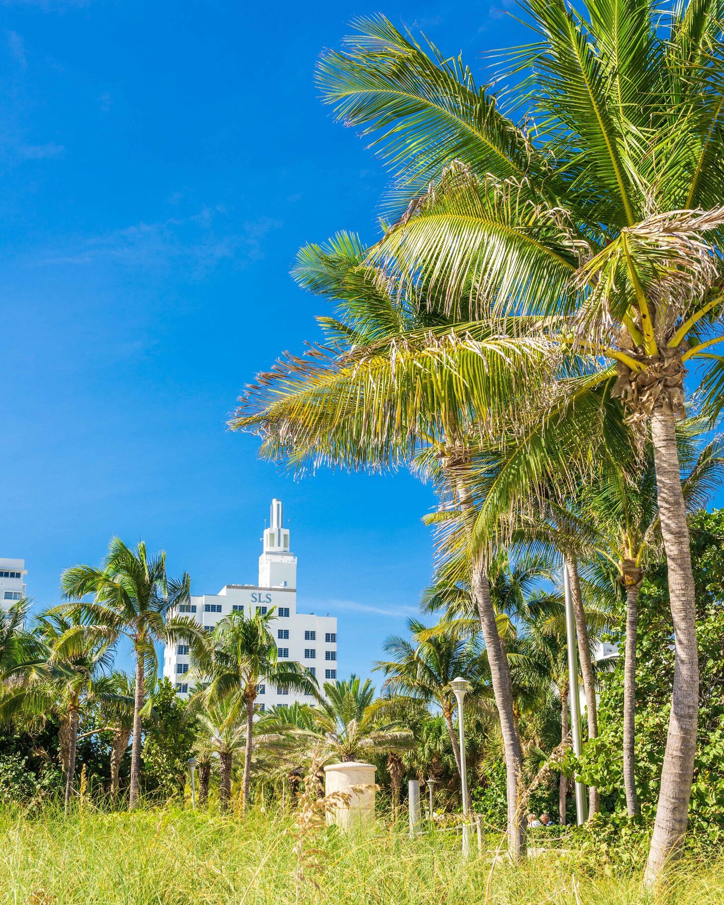 Sls South Beach (Adults Only) Miami Beach Luaran gambar